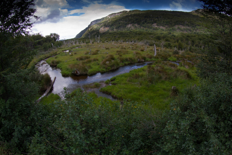 Curved-Stram-in-Tierra-del-Fuego