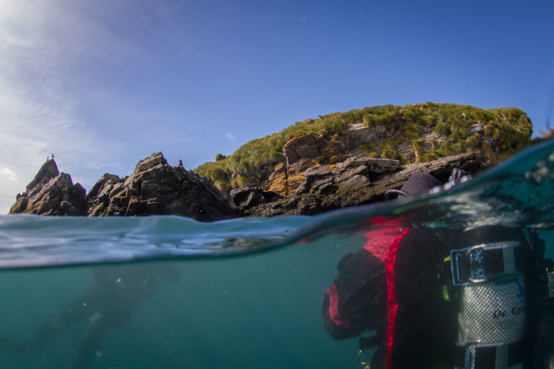 Diving-at-Pinion-Island