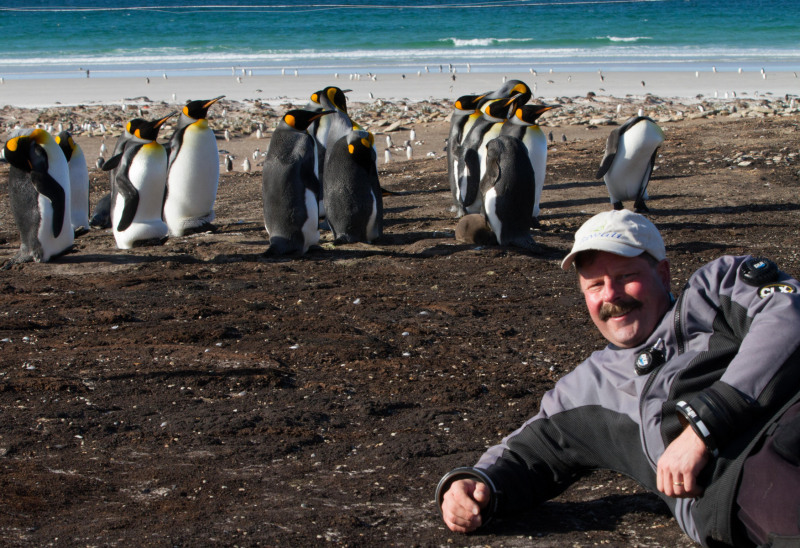 Jim-and-the-King-Penguins