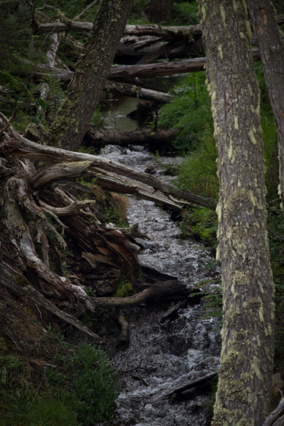 Stram-in-Tierra-del-Fuego