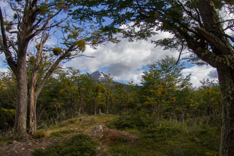 Tierro-del-Fuego-Mountain