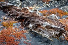 2_Iceland-3-25-25-of-33