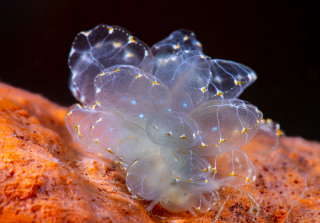 Tulamben-12-25-54-of-69